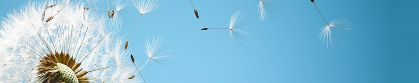 廈門不干膠印刷_標(biāo)簽印刷【聯(lián)系千百繪】印刷廠家—專業(yè)客服為您答疑